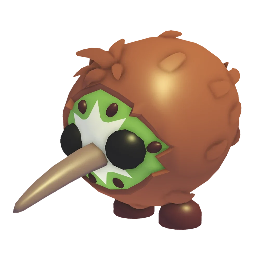 MFR Kiwi Kiwi