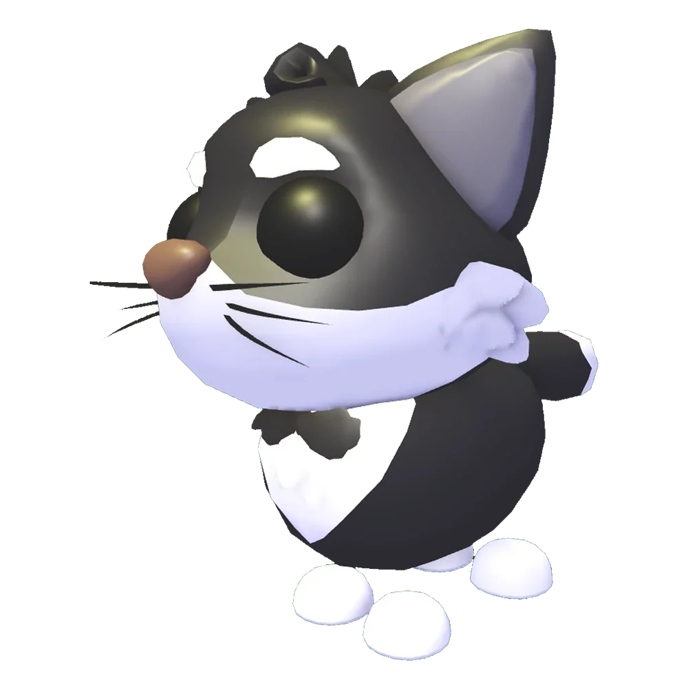 Tuxedo Cat