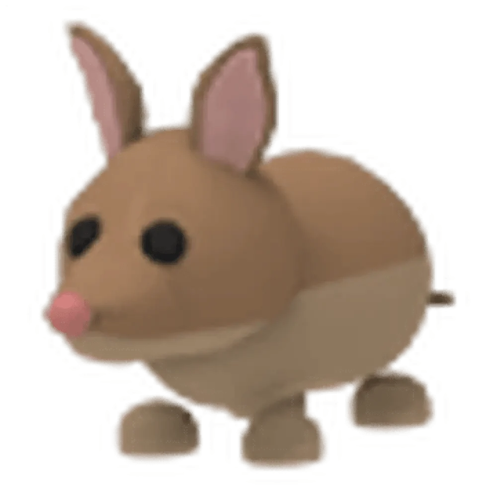 Bandicoot - Adopt Me