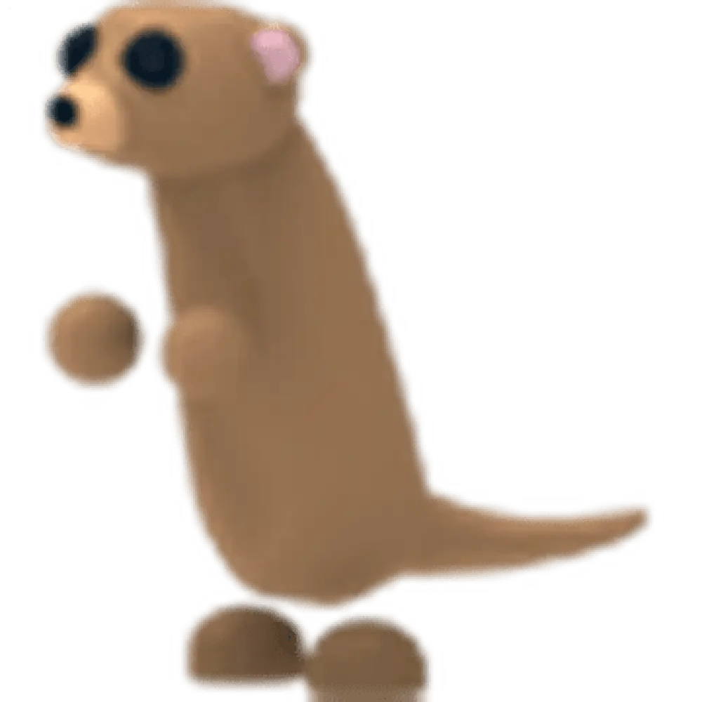 Meerkat - Adopt Me