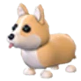 MFR Corgi - Adopt Me