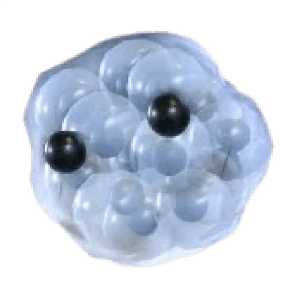 MFR Frogspawn - Adopt Me