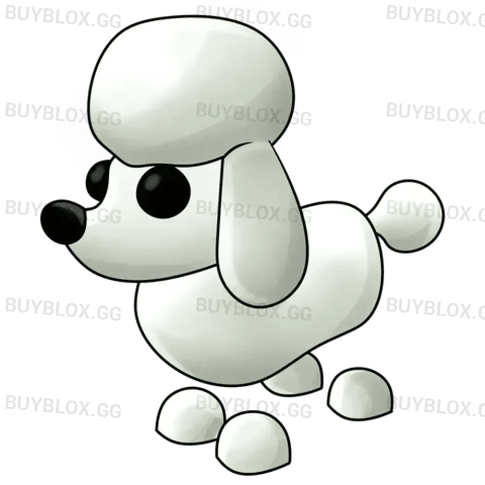 MFR Poodle - Adopt Me