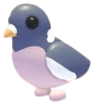 MFR Wood Pigeon - Adopt Me