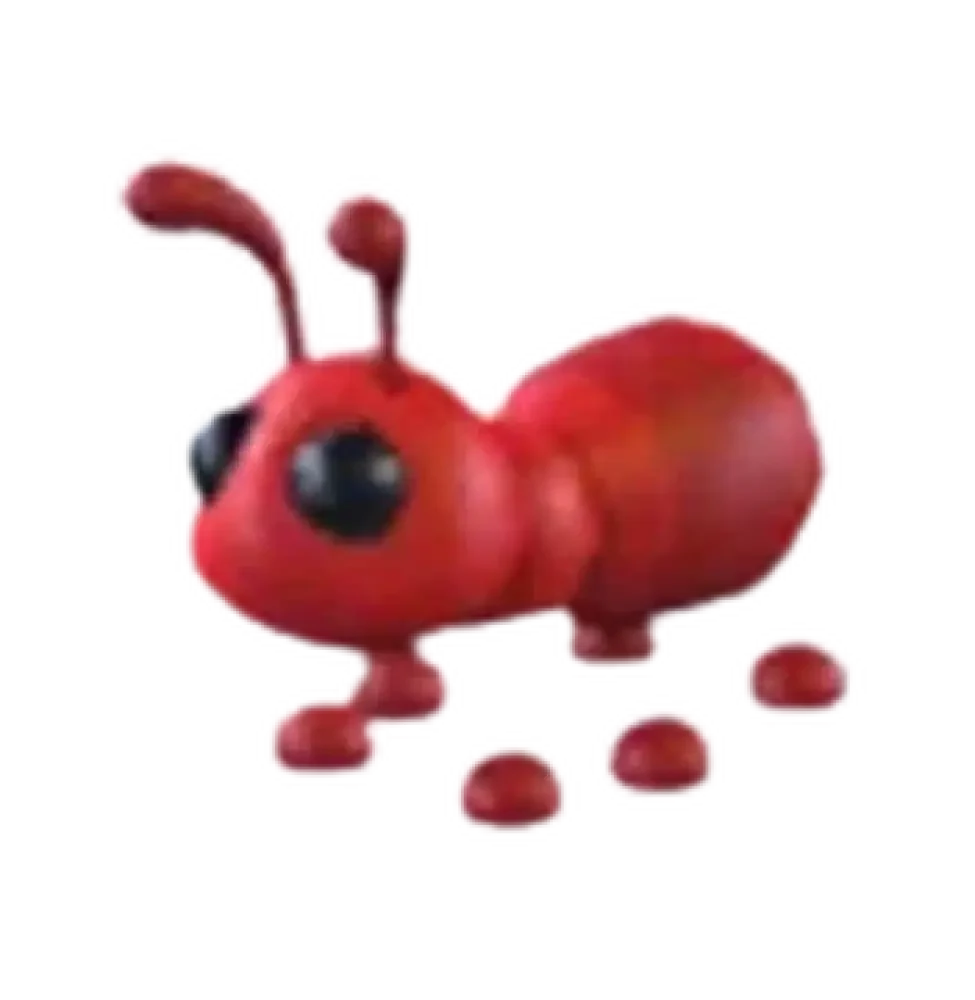 NFR Ant - Adopt Me