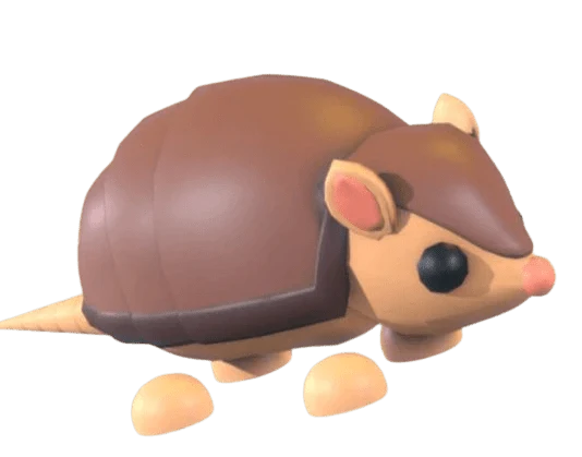 NFR Armadillo - Adopt Me