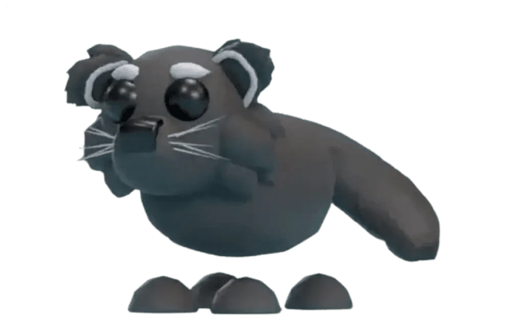 NFR Binturong - Adopt Me