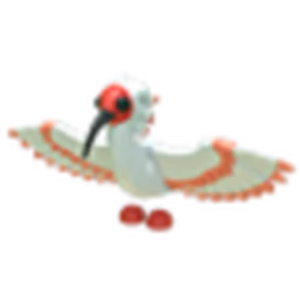 NFR Ibis - Adopt Me