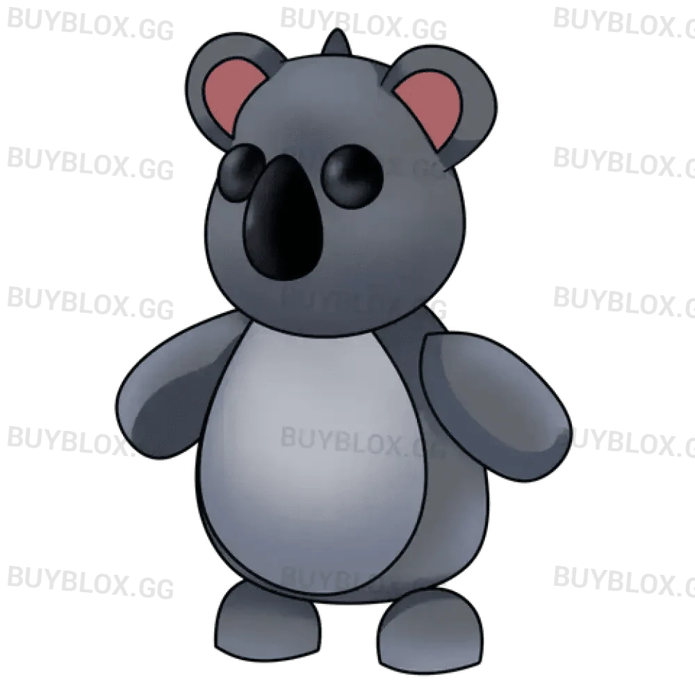 NFR Koala - Adopt Me