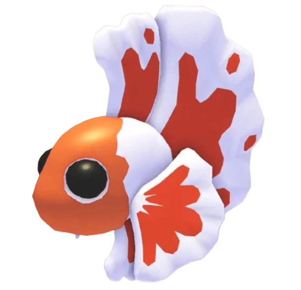 NFR Orange Betta Fish - Adopt Me