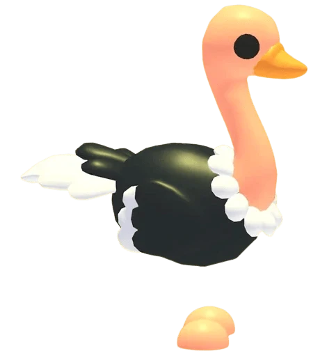 NFR Ostrich - Adopt Me