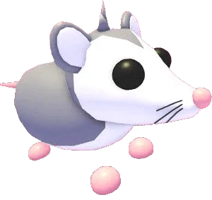 NFR Possum - Adopt Me