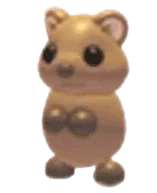 NFR Quokka - Adopt Me