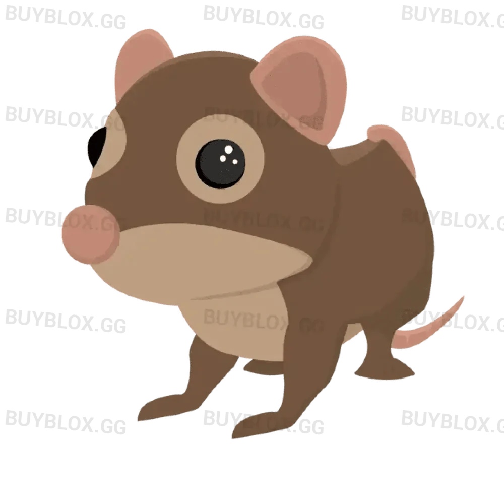NFR Shrew - Adopt Me