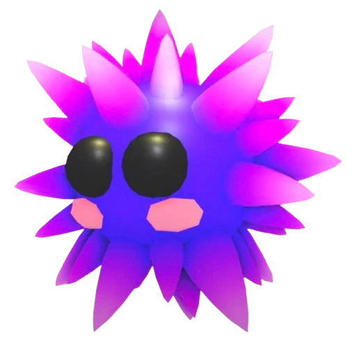 NFR Urchin - Adopt Me