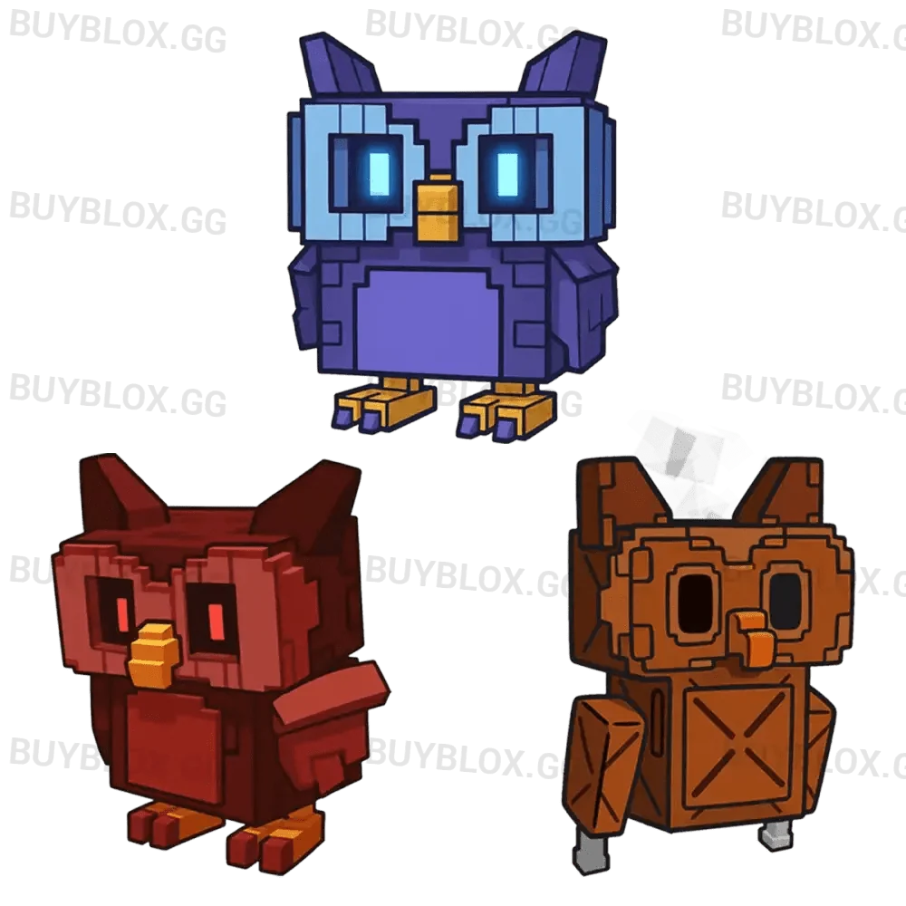 Owl Bundle - Grow a Garden