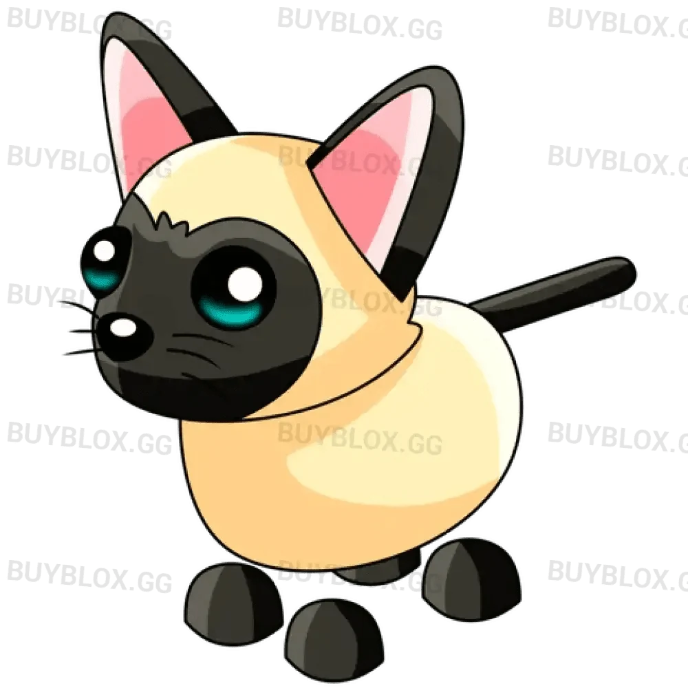 Siamese Cat - Adopt Me
