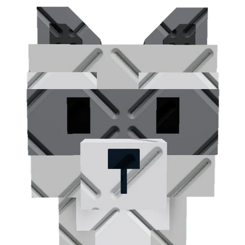 Big Raccoon