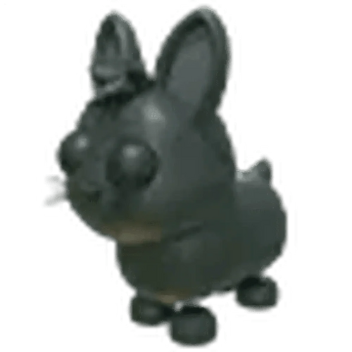 Amami Rabbit