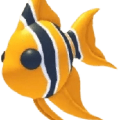 Angelfish