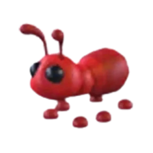 Ant