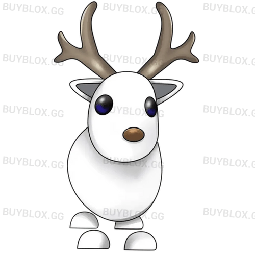 Arctic Reindeer