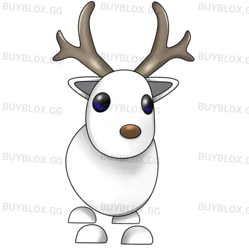 Arctic Reindeer