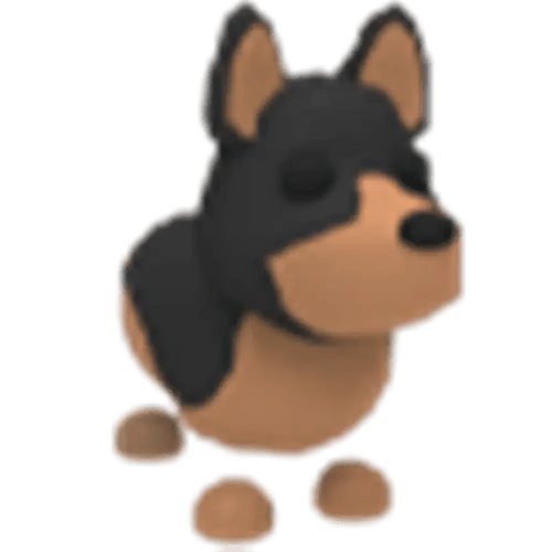 Australian Kelpie