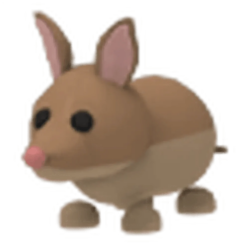 Bandicoot