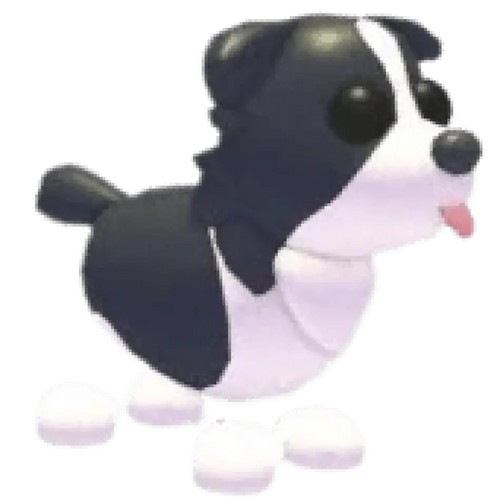 Border Collie