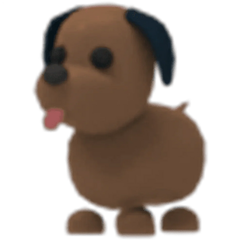 Chocolate Labrador