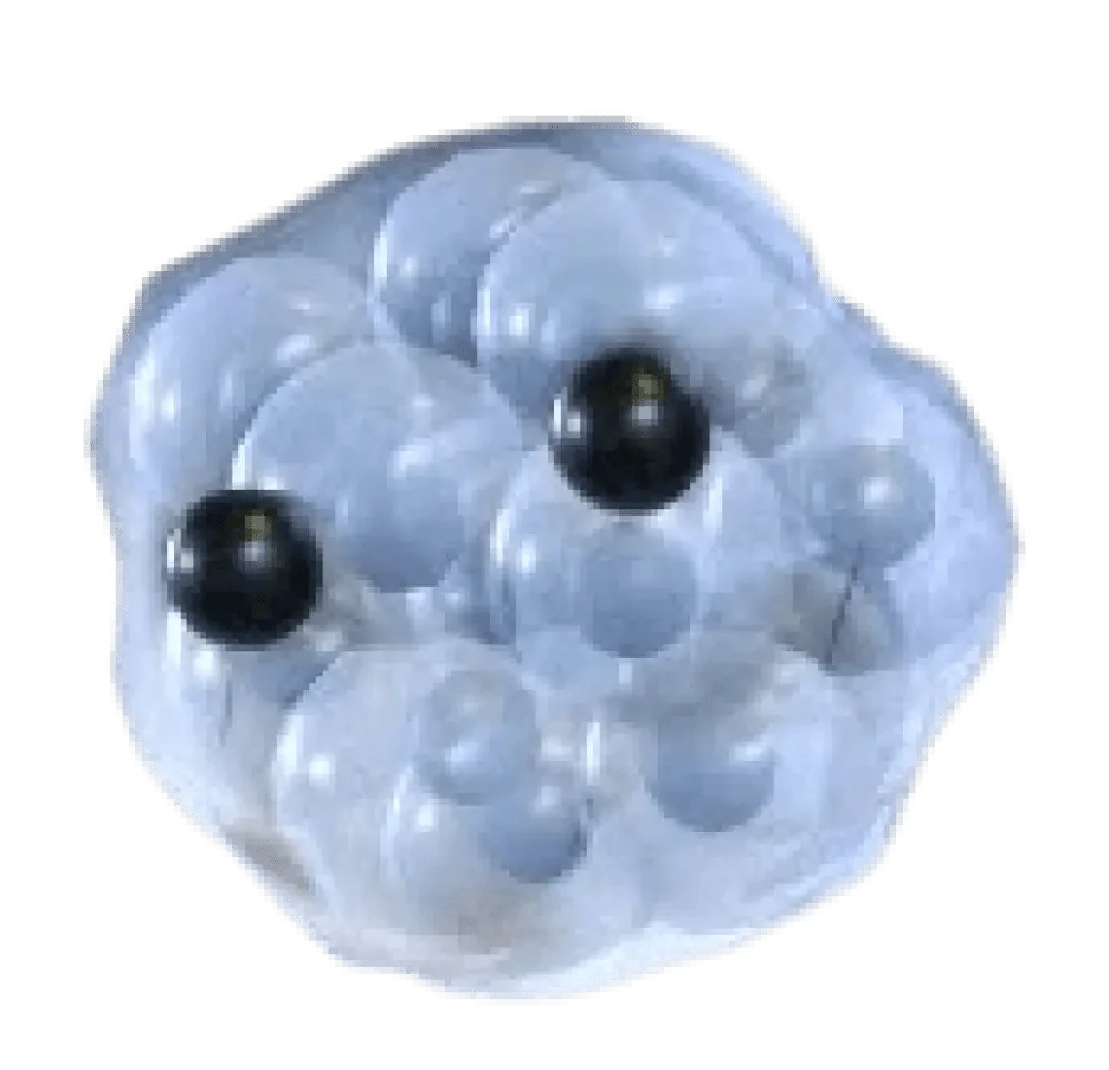Frogspawn - Adopt Me