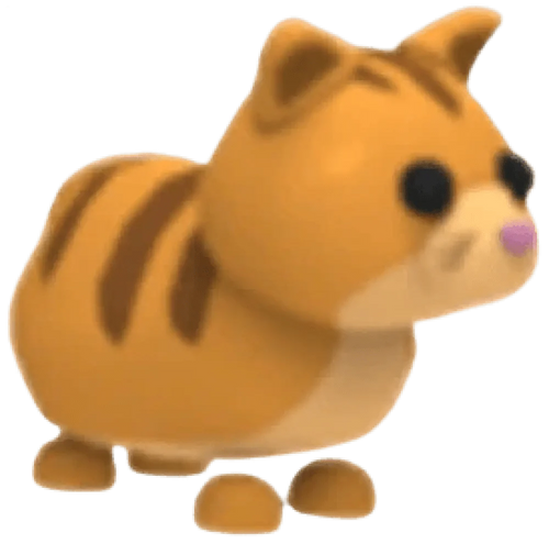 Ginger Cat