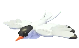Arctic Tern