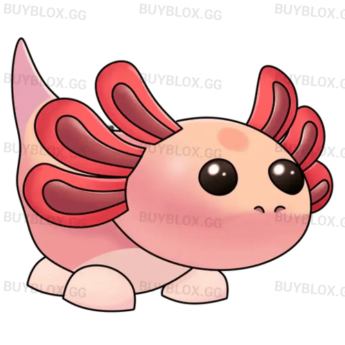 MFR Axolotl
