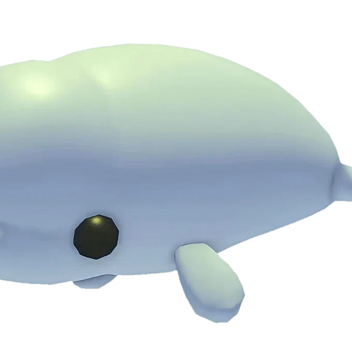 Beluga Whale