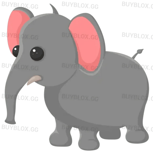 MFR Elephant