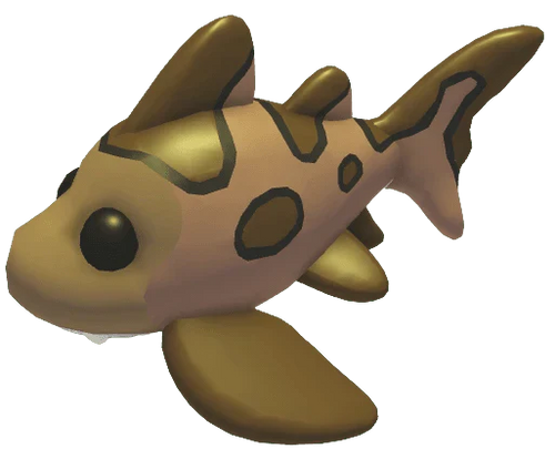Leopard Shark