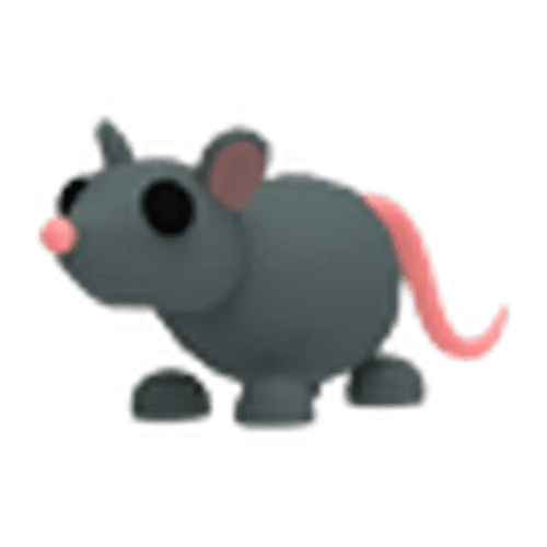 MFR Rat
