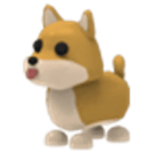 MFR Shiba Inu