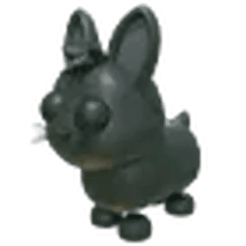 NFR Amami Rabbit