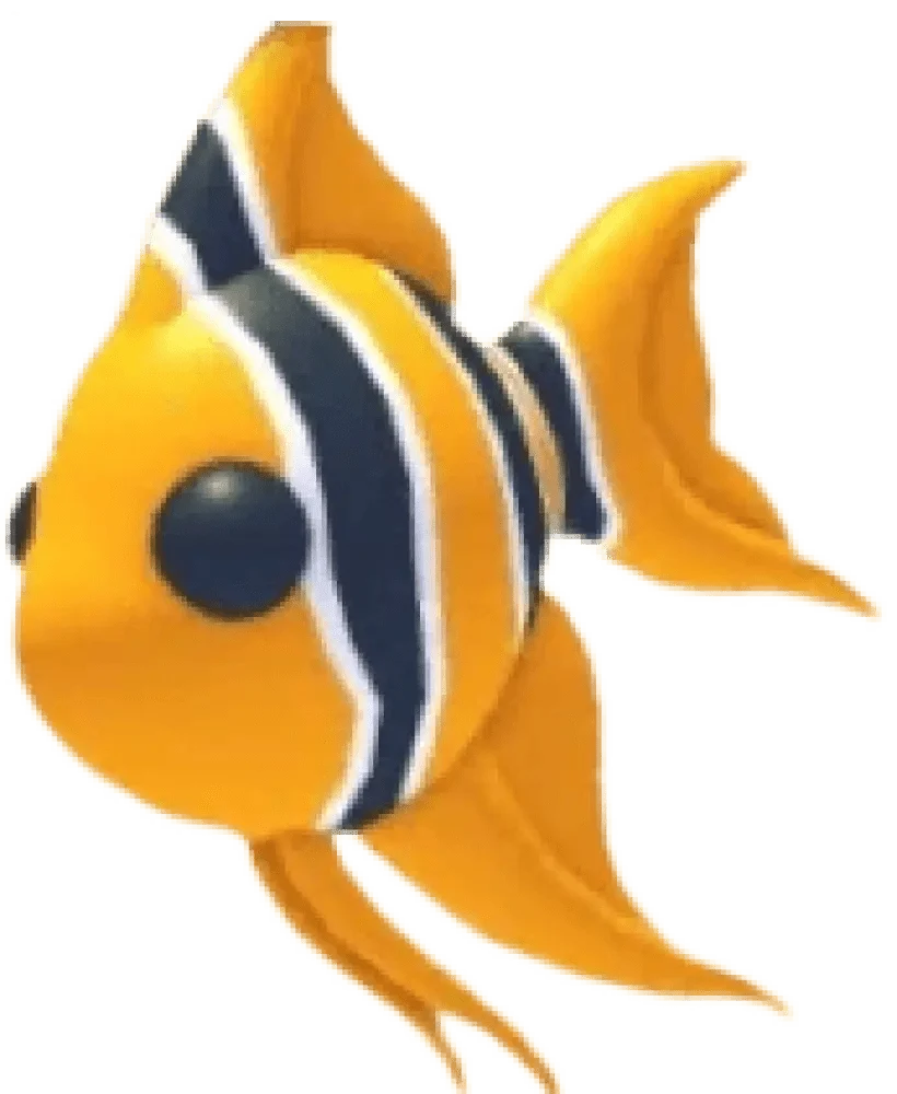 NFR Angelfish - Adopt Me