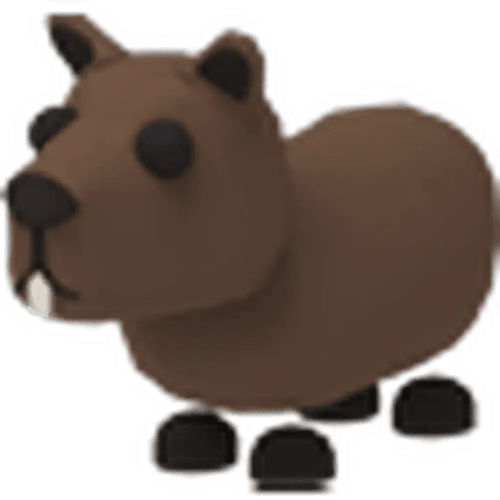NFR Capybara - Adopt Me