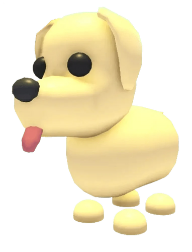 NFR Dog