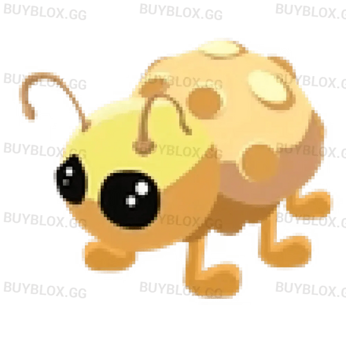 NFR Golden Ladybug