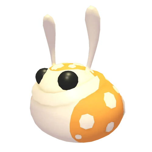 NFR Hopbop