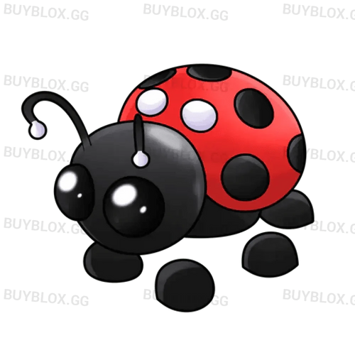 NFR Ladybug