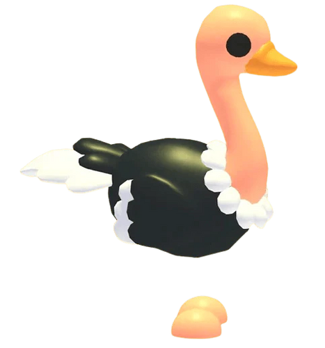 NFR Ostrich