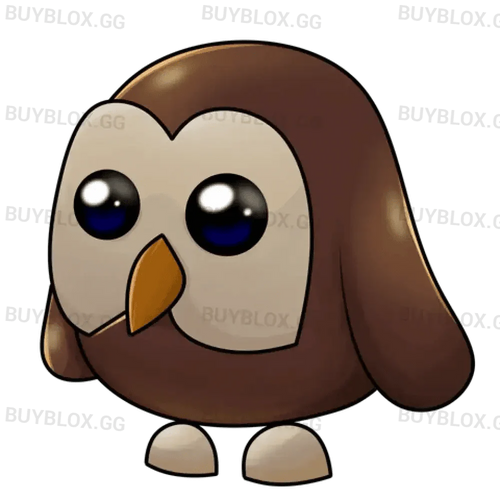 NFR Owl