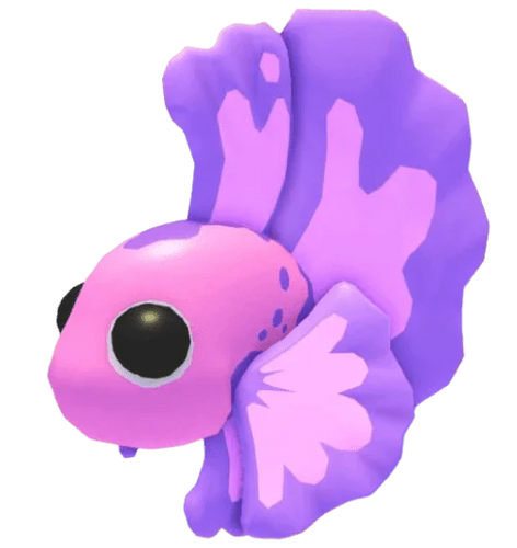 NFR Pink Betta Fish